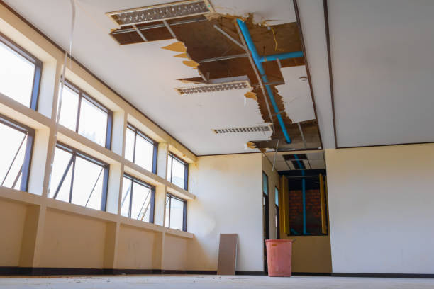 Best Local water damage restoration  in Arlington, TN