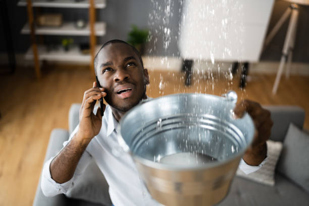  Arlington, TN Water damage restoration Pros