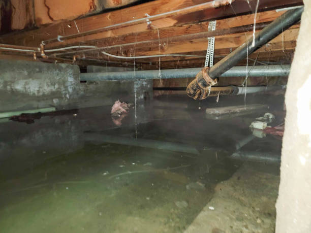 Professional Water damage restoration in Arlington, TN