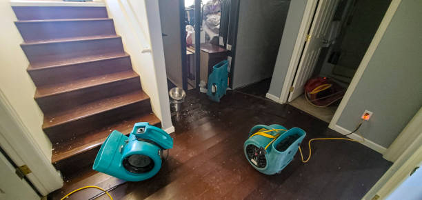 Best Water damage cleanup near me  in Arlington, TN