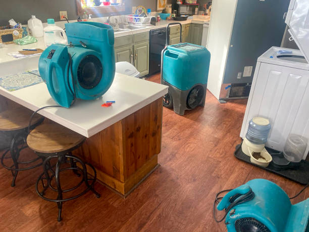 Best Sewage cleanup and water damage restoration  in Arlington, TN