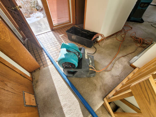 Carpet water damage restoration in Arlington, TN