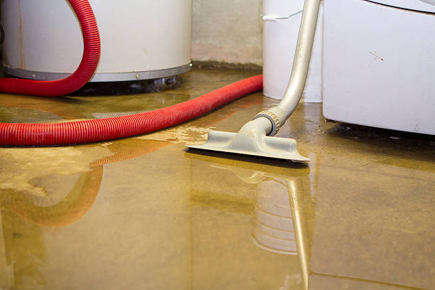 Best Water damage restoration services  in Arlington, TN