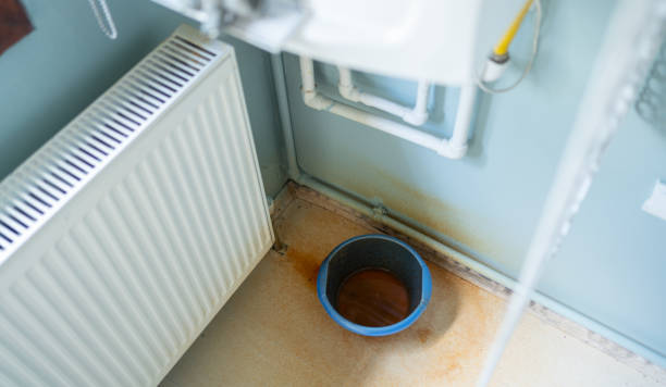 Best Water damage restoration mold remediation  in Arlington, TN