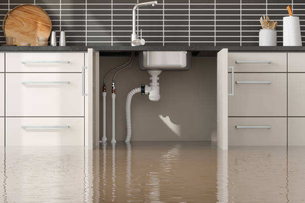 Best Water damage restoration near me  in Arlington, TN