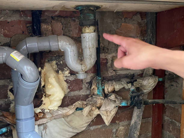 Best Fire Damage Restoration  in Arlington, TN