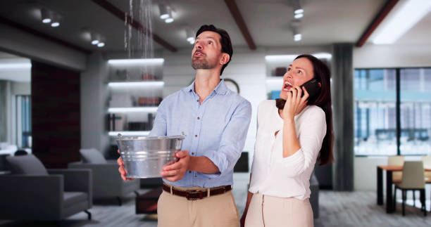 Best 24/7 water damage repair  in Arlington, TN